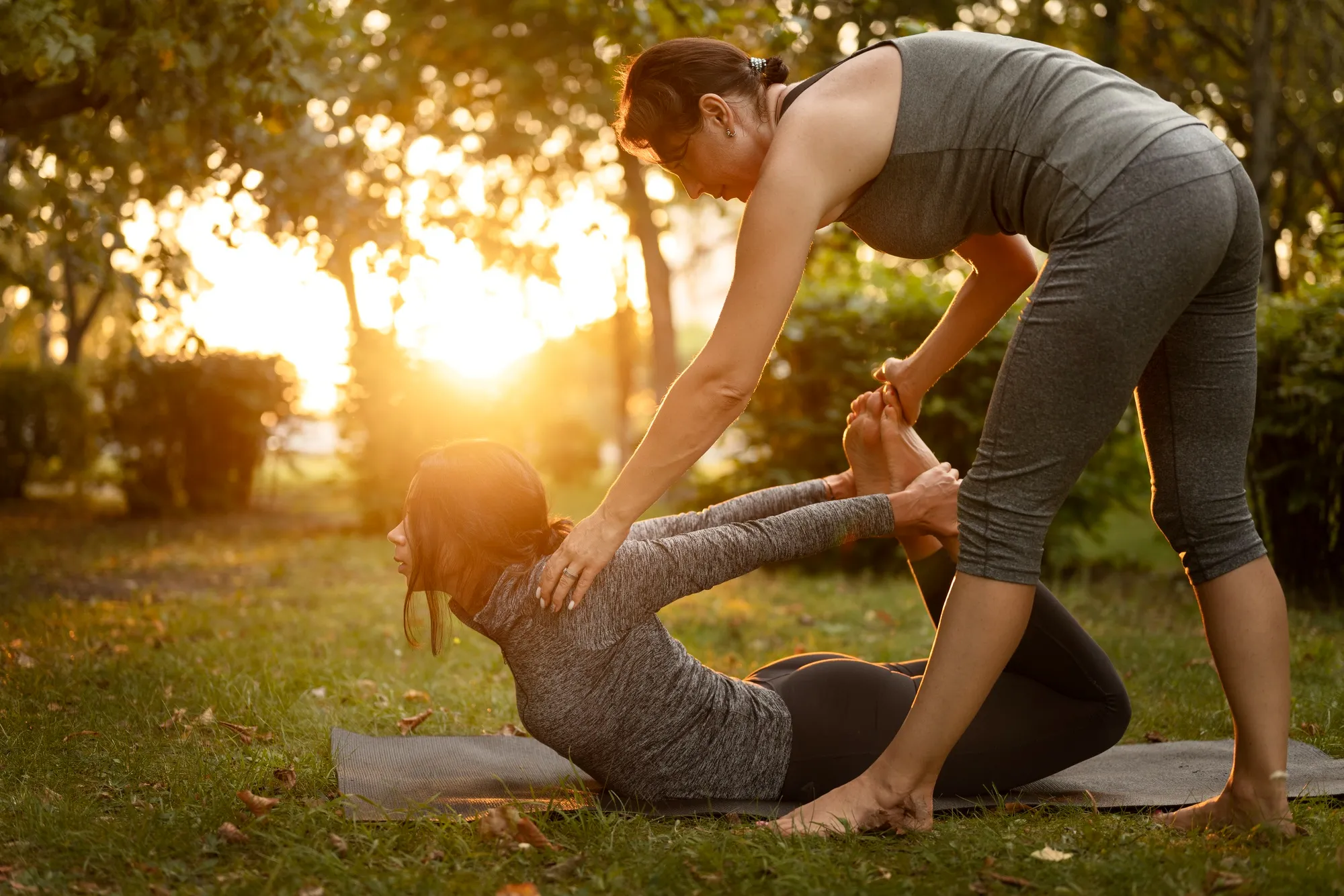 Ayurvedic joint and pain care wellness support